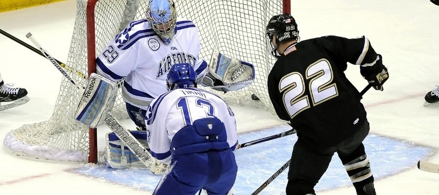 NHL Goalie